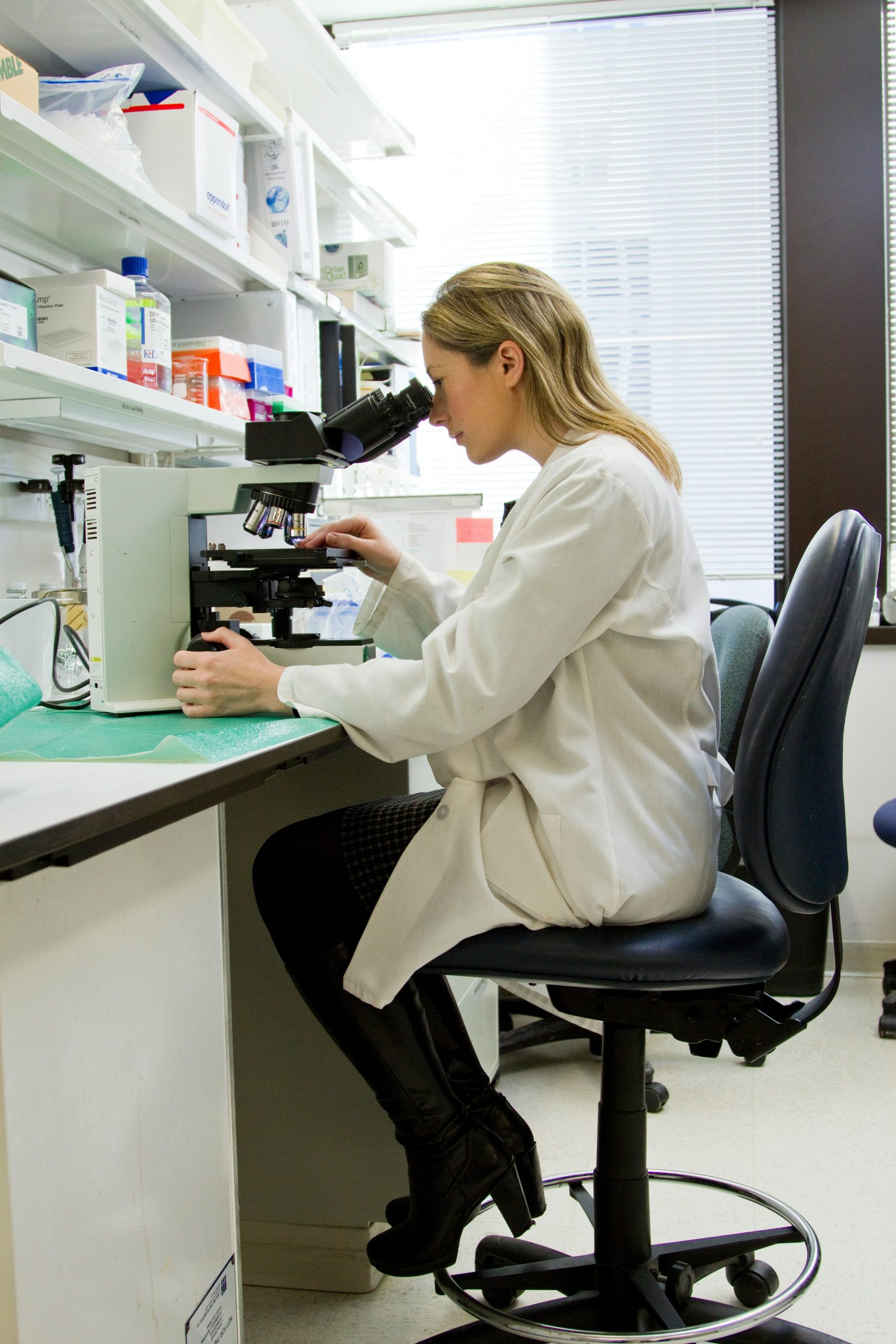 laboratorio